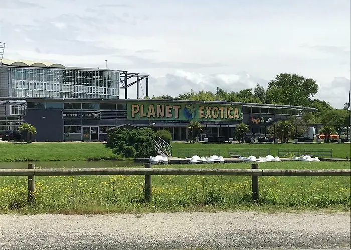 26 Avenue Des Tilleuls Royan