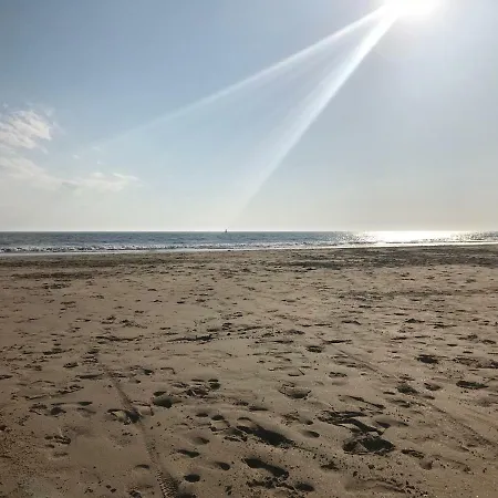 26 Avenue Des Tilleuls Appartement