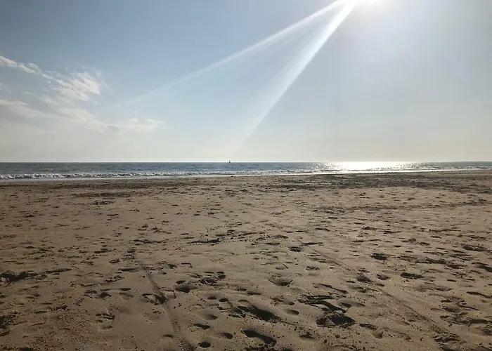 26 Avenue Des Tilleuls Lägenhet